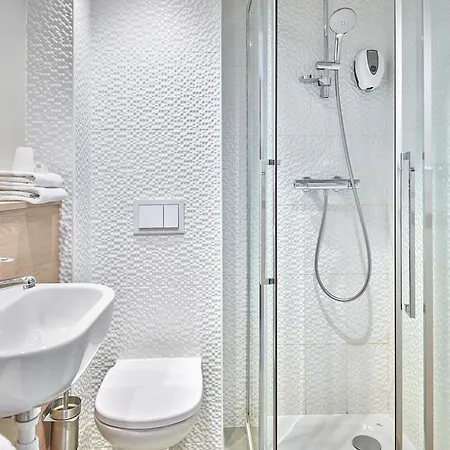 Revotel Centre Gare Et Congres מלון נאנסי